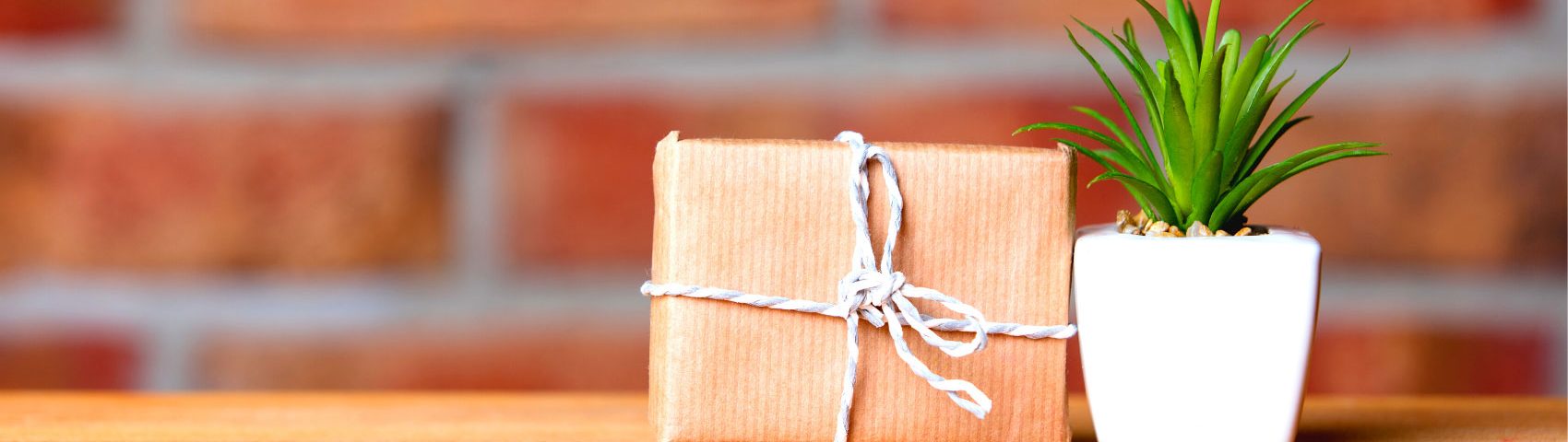 Gifting Plants 1700x480 1