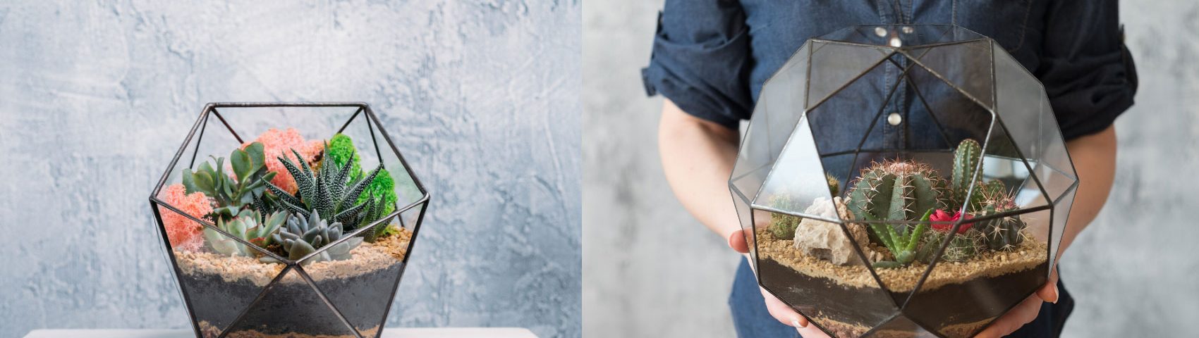 Gifting Plants 2 1700x480 1