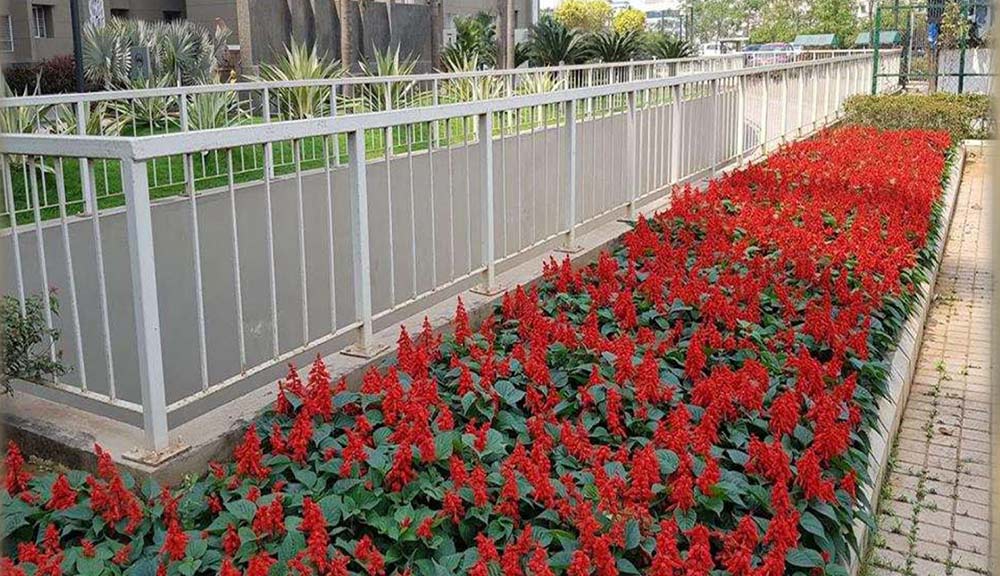 gardenmanage gardenmanage