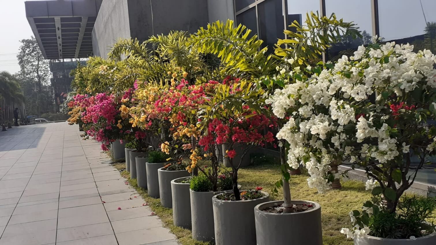 landscape development maintenance courtyard marriot siliguri2