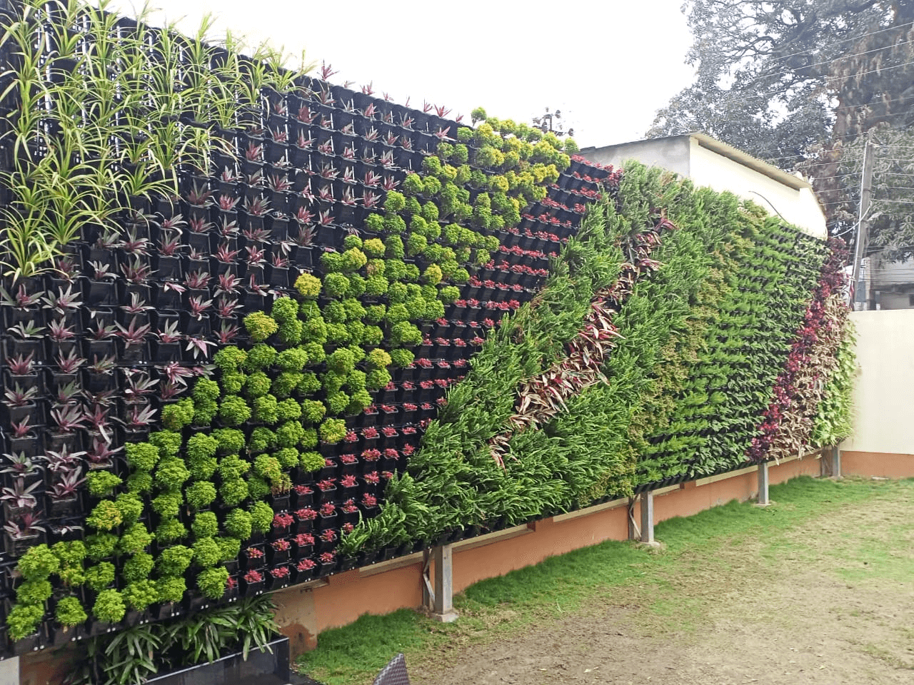 vertical garden asha ispat siliguri