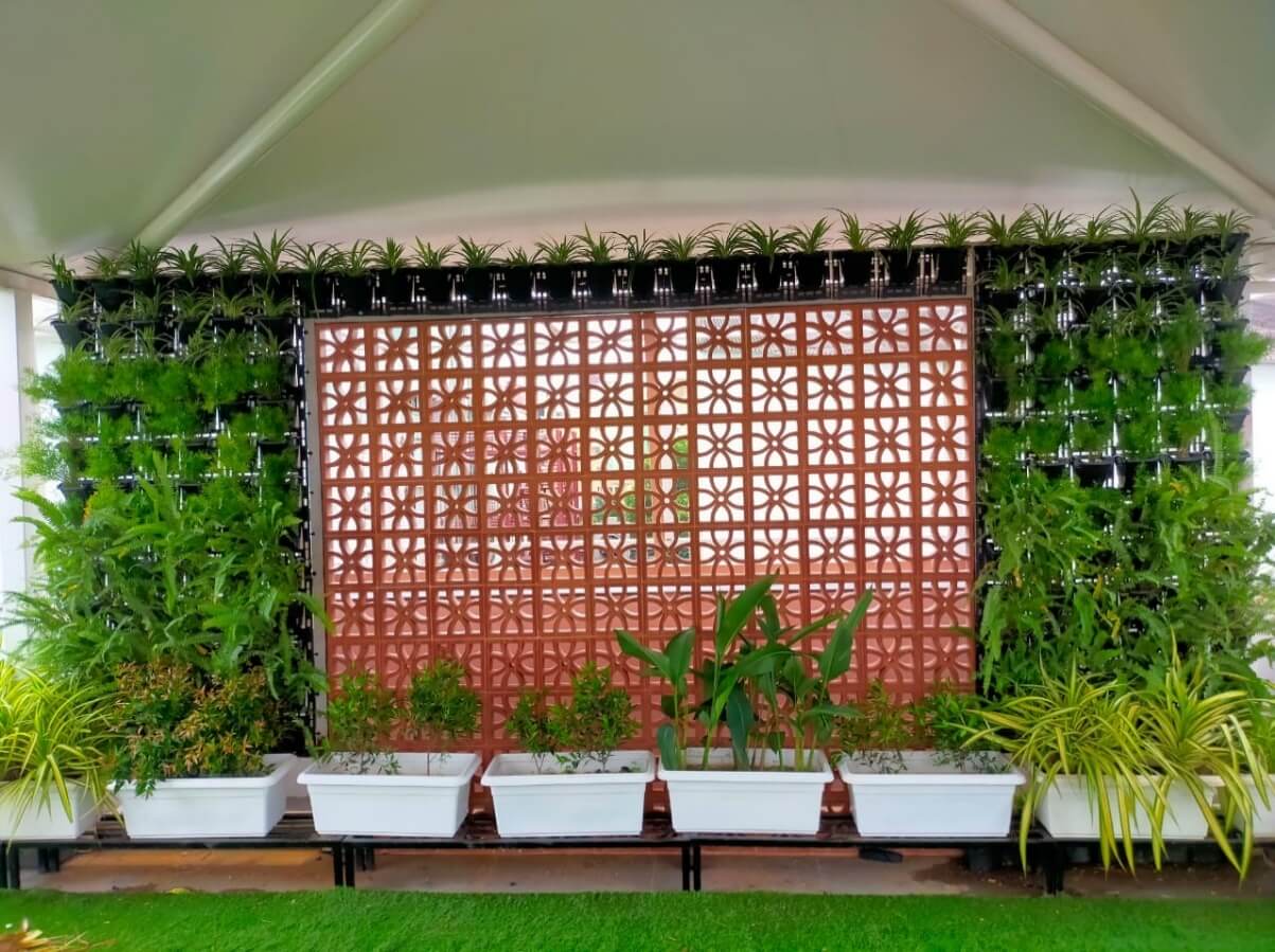vertical garden tattwa tech bhubaneshwar